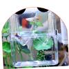 BUGUUYO 3-Piece Transparent Fish Breeding Box with Suction Cups view 2