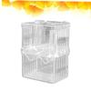 BUGUUYO 3-Piece Transparent Fish Breeding Box with Suction Cups view 3