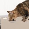 Pet Feeding Mat view 2
