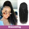 Brazilian Human Hair Clip-In Ponytail Extension view 3