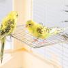 Multi-Functional Stainless Steel Bird Perch Stand view 4