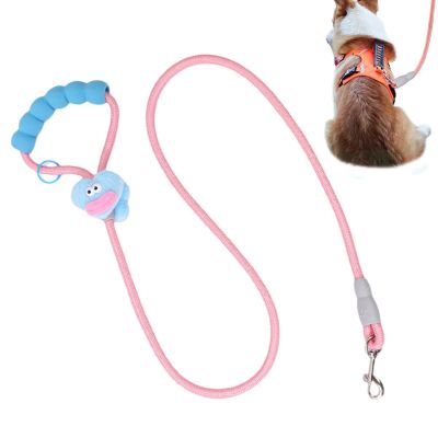 Colorful Dog Leash with Comfortable Grip