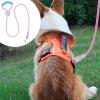 Colorful Dog Leash with Comfortable Grip view 3