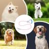 Colorful Dog Leash with Comfortable Grip view 4