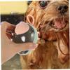 BUGUUYO Reusable Pet Brush view 2