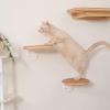ZSXZCBDQ Wall-Mounted Cat Shelf Set (Package 5) view 2