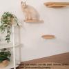 ZSXZCBDQ Wall-Mounted Cat Shelf Set (Package 5) view 3