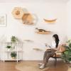 ZSXZCBDQ Wall-Mounted Cat Shelf Set (Package 5) view 4