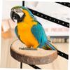 BUGUUYO Natural Wood Bird Perch Board view 3