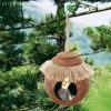 Coconut Shell Nest with Woven Rope view 4