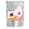 Gino Gelati Protein Ice Cream Powder, Mango, 1 kg view 1
