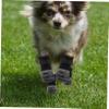 BUGUUYO Pet Socks - 4 Pack view 4