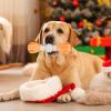 Dog Dental Cleaning Toy - Interactive Chew Toy with Weights view 3