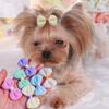 ADIASEN 6 x Dog Hair Accessories with Bow view 3