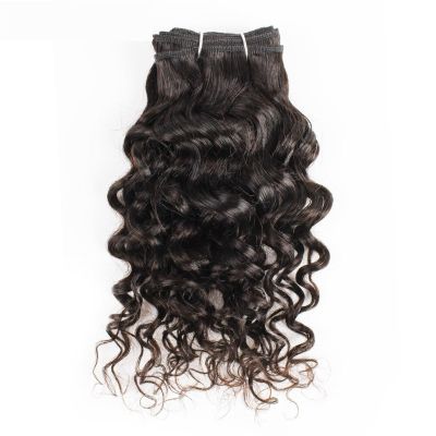Water Wave Human Hair Bundles with Closure, 10–12 in, 50 g x 2, Black Remy Hair