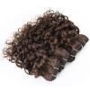 Water Wave Human Hair Bundles with Closure, 10–12 in, 50 g x 2, Black Remy Hair view 3