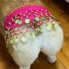 Belly Dance Dog Costume view 3