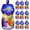Mango & Passion Fruit Juice with Tropical Flavor, 330 ml x 10 view 1