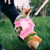 BESPORTBLE Pet Harness for Dogs and Cats view 4