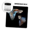 Floating Plastic Guppy Fry Breeder with Nylon Net view 4