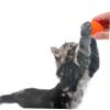 BESPORTBLE 12 Pack Cat Toy Balls view 4
