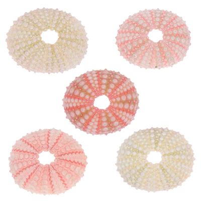 Sosoport 10-Piece Natural Sea Urchin Decor for Aquariums and Home