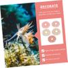 Sosoport 10-Piece Natural Sea Urchin Decor for Aquariums and Home view 2