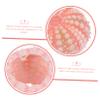Sosoport 10-Piece Natural Sea Urchin Decor for Aquariums and Home view 3