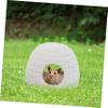 Ceramic Pet House Hamster Hideout for Small Animals, Summer view 2