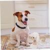 BUGUUYO Plush Dog Toy with Squeaker view 4