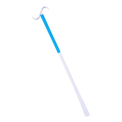 Detachable Dressing Stick, 2-in-1 ABS Shoe Horn