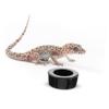 Sosoport Water Bowl for Turtles and Reptiles view 3