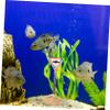 BUGUUYO Shark Ornament for Aquariums view 4