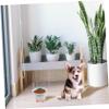 BESPORTBLE Elevated Ceramic Cat Bowl view 4
