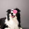 Dog Eye Patch - Eye Protection view 4