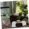 Kisangel Turtle Climbing Platform view 4