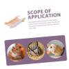 Sosoport Interesting Climbing Ladder for Hamsters view 3