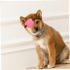 Toddmomy Adjustable Dog Eye Mask view 4