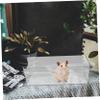 Happyyami 3-Piece Acrylic Hamster Bath Set with Stylish Design view 4