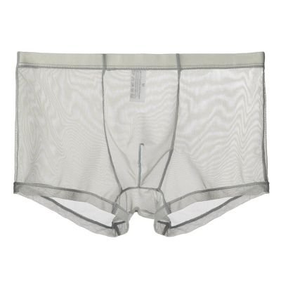 Men's Sexy Breathable Mesh Boxer Shorts