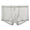 Men's Sexy Breathable Mesh Boxer Shorts view 1