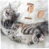 BESPORTBLE 2-Pack Wooden Chew Toy for Kittens and Cats view 3