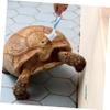 Kisangel 2-Pack Turtle Shell Cleaning Brushes view 2