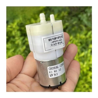 BYLSAGWHT WP32 32 mm High-Flow Air Pump, DC 12V/18V/24V