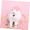 Sosoport 2-Piece Bunny Costume Set for Small Pets with Bunny Hat and Strawberry Bag view 4