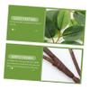 Kisangel Habitat Decoration with Rattan Leaves view 4