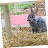 Sosoport Sturdy Plastic Feeder for Pets, Easy-to-Install Rabbit Cage Container view 3