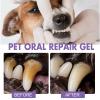 2-Pack Pet Toothbrush Pens for Dogs view 4