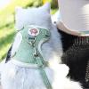 JOERBABU Stylish Dog Harness view 4