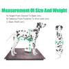 CAFIEDR Adjustable 2-Wheel Pet Wheelchair for Dogs, Lightweight Aluminum, Rear-Leg Support view 2